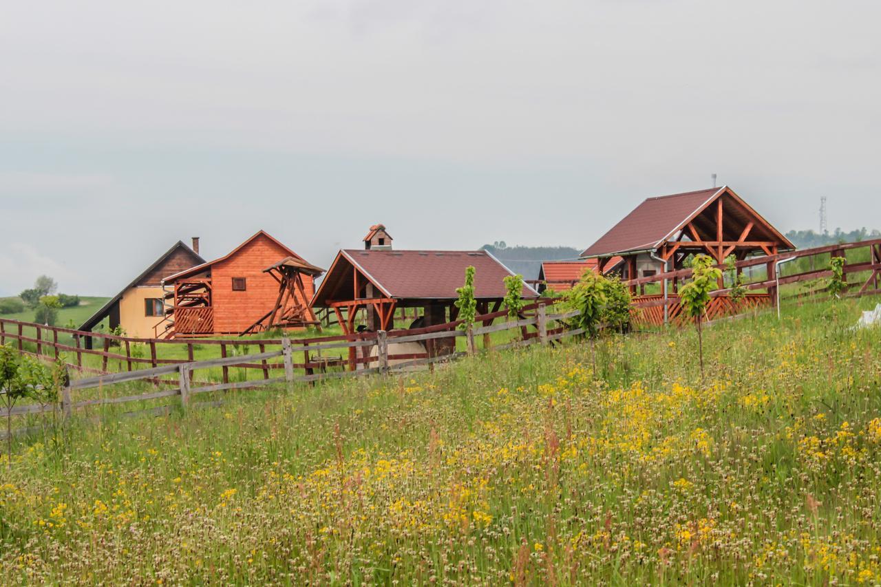 Mano Kulcsoshazak Villa Praid Exterior photo